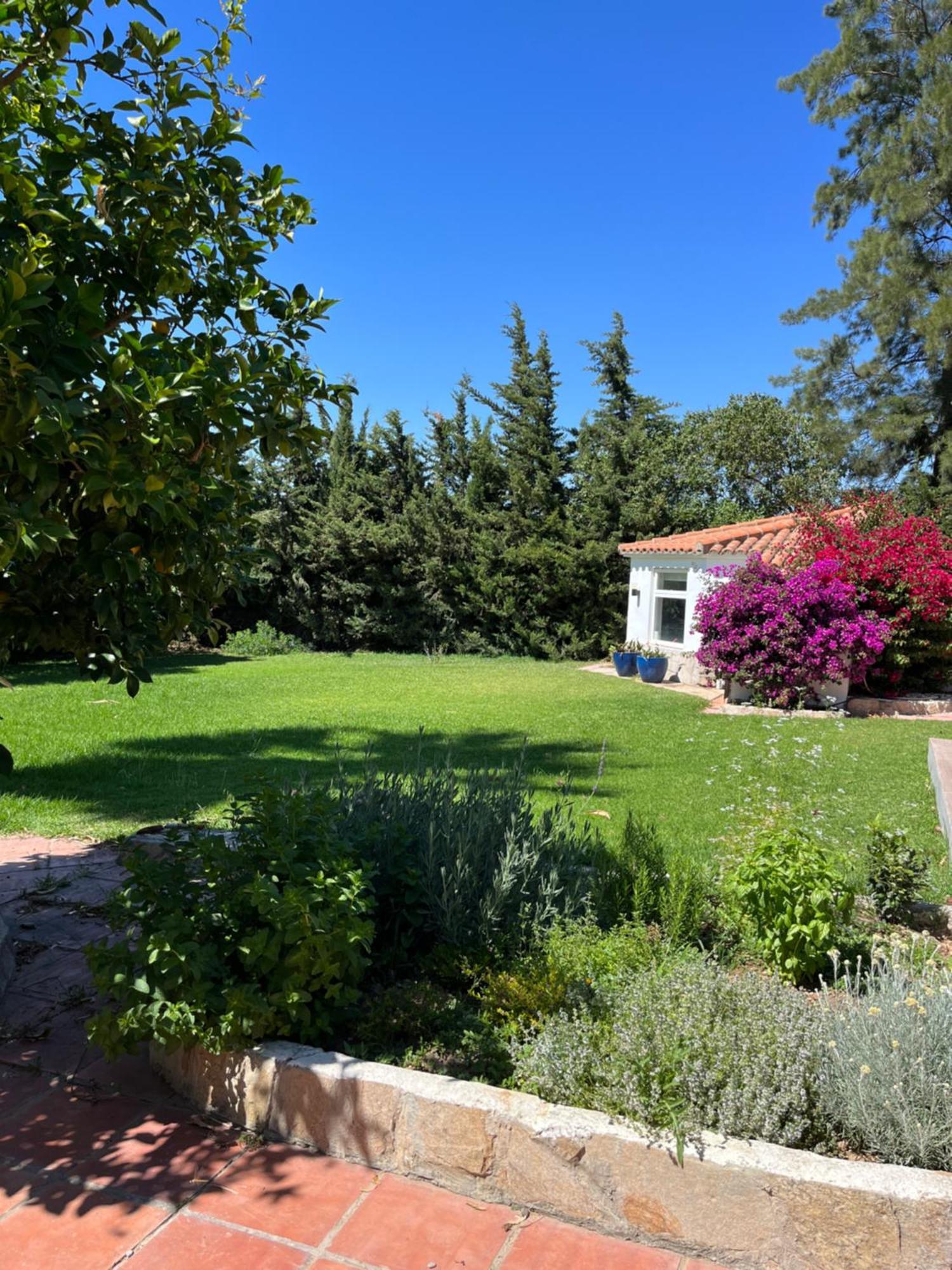 Arriba Stijlvol Appartement Met Zwembad En Tuin 科尼尔-德拉弗龙特拉 外观 照片