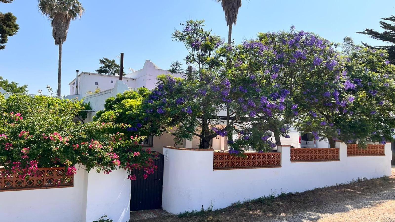 Arriba Stijlvol Appartement Met Zwembad En Tuin 科尼尔-德拉弗龙特拉 外观 照片
