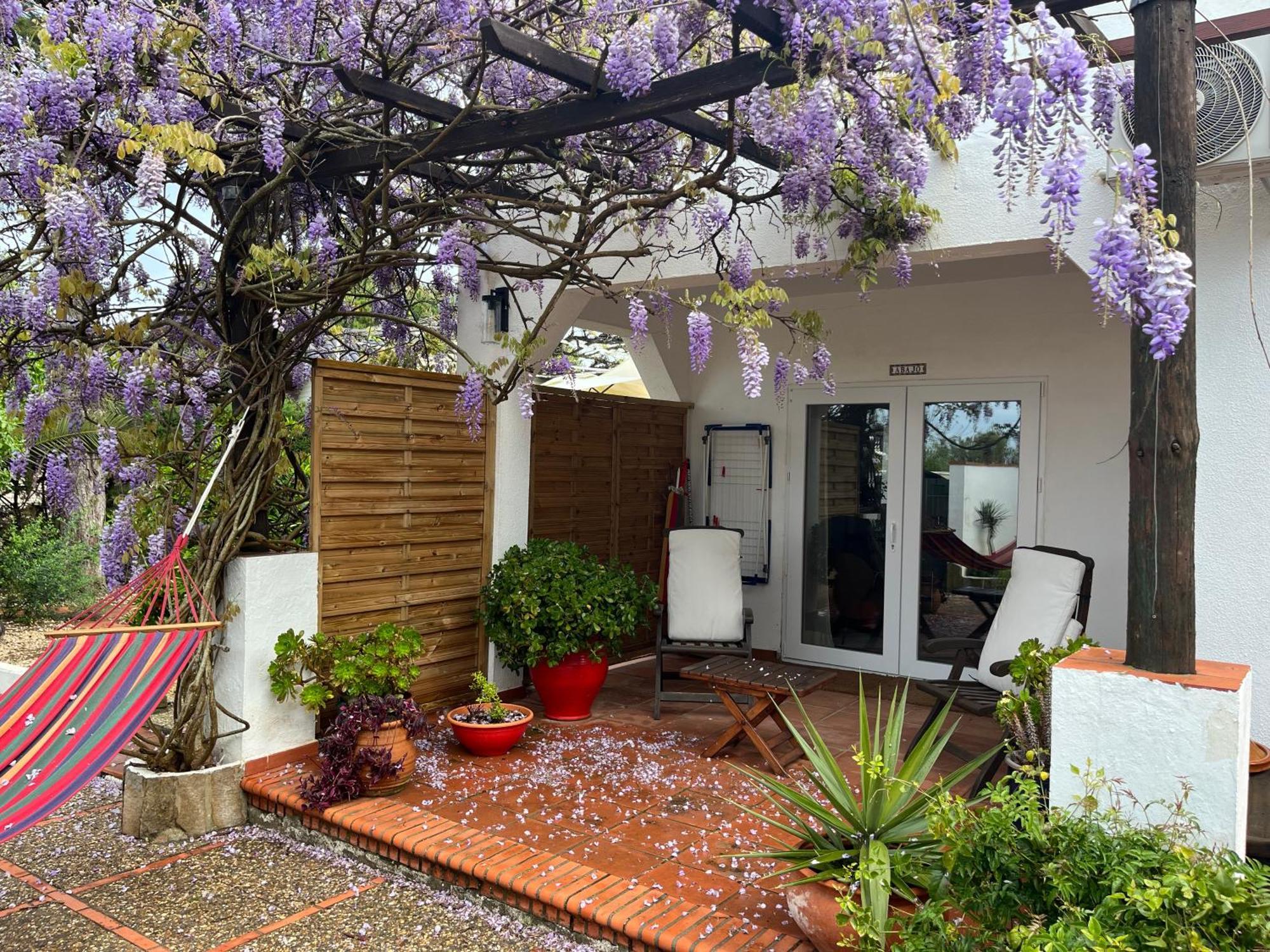 Arriba Stijlvol Appartement Met Zwembad En Tuin 科尼尔-德拉弗龙特拉 外观 照片